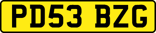 PD53BZG