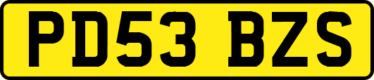 PD53BZS