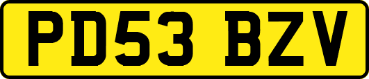 PD53BZV