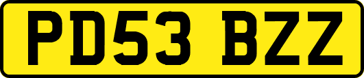 PD53BZZ