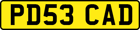 PD53CAD
