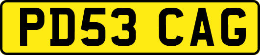 PD53CAG