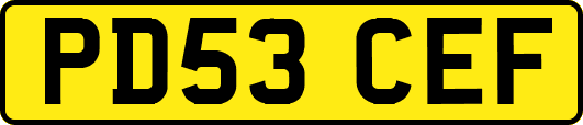 PD53CEF