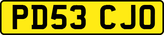 PD53CJO