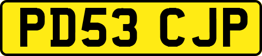PD53CJP