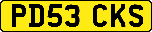 PD53CKS
