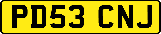 PD53CNJ