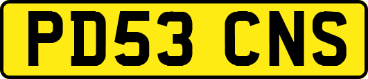 PD53CNS
