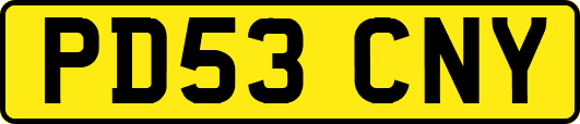 PD53CNY