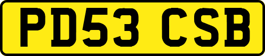 PD53CSB