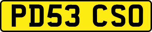PD53CSO