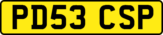 PD53CSP