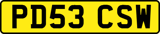 PD53CSW