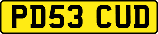 PD53CUD