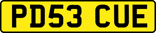 PD53CUE