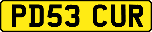 PD53CUR