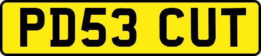 PD53CUT