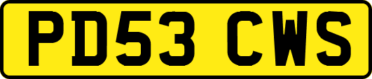 PD53CWS