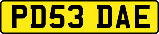 PD53DAE