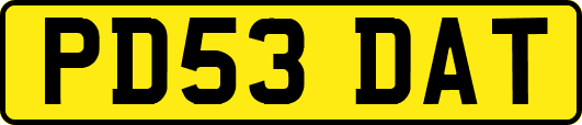 PD53DAT