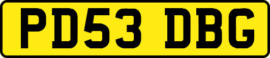 PD53DBG