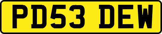 PD53DEW