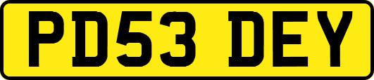 PD53DEY