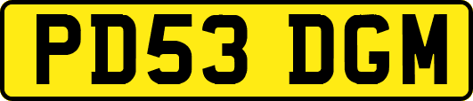 PD53DGM