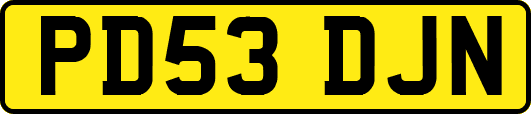 PD53DJN