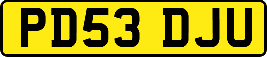 PD53DJU