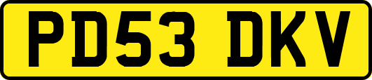 PD53DKV