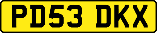 PD53DKX