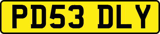 PD53DLY