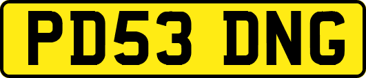 PD53DNG