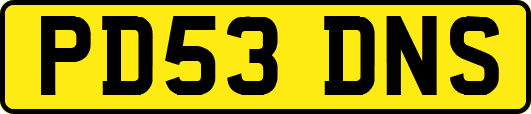 PD53DNS
