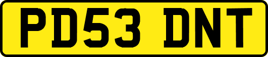 PD53DNT