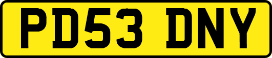 PD53DNY