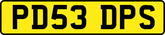 PD53DPS