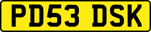 PD53DSK