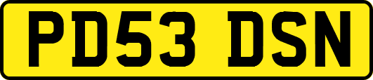 PD53DSN