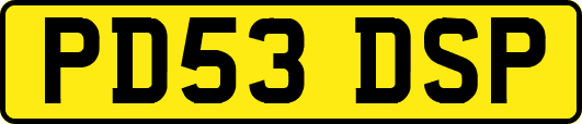 PD53DSP