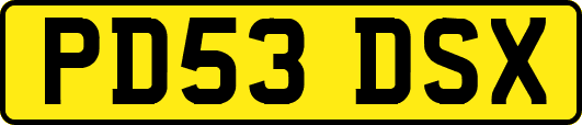 PD53DSX