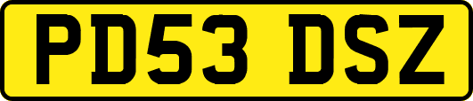 PD53DSZ