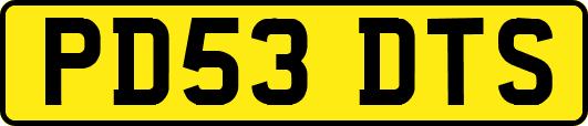 PD53DTS