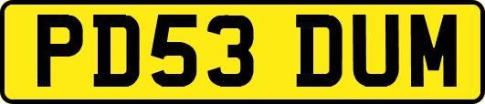PD53DUM