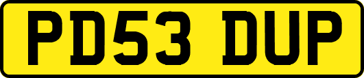 PD53DUP