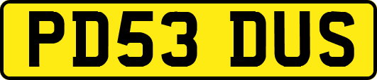 PD53DUS
