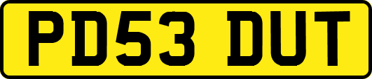 PD53DUT