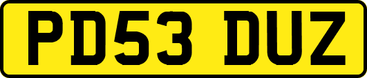 PD53DUZ