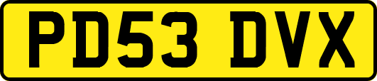 PD53DVX